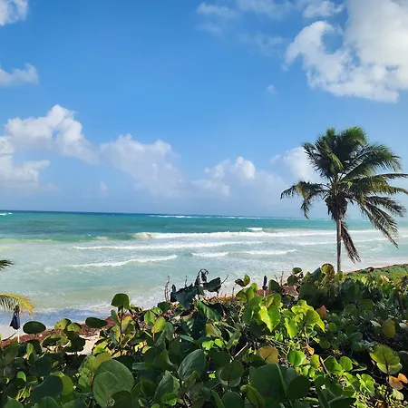 Casa Tres Recamaras: Jungle Views, Shared Pool & Prime Location Villa